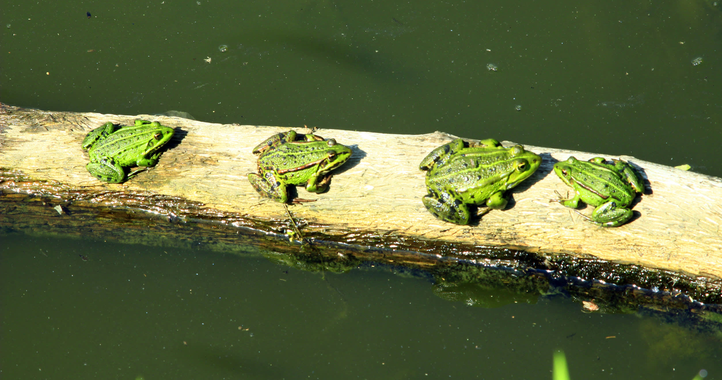 Team - Related content image - IT teams product mindset