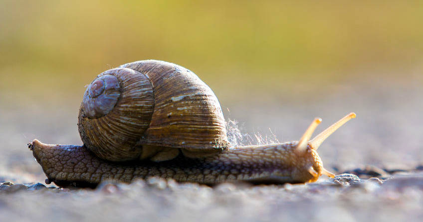 Use cases - Related content - 5 Questions Every Frustrated Product Manager Should Ask When Dates Slip