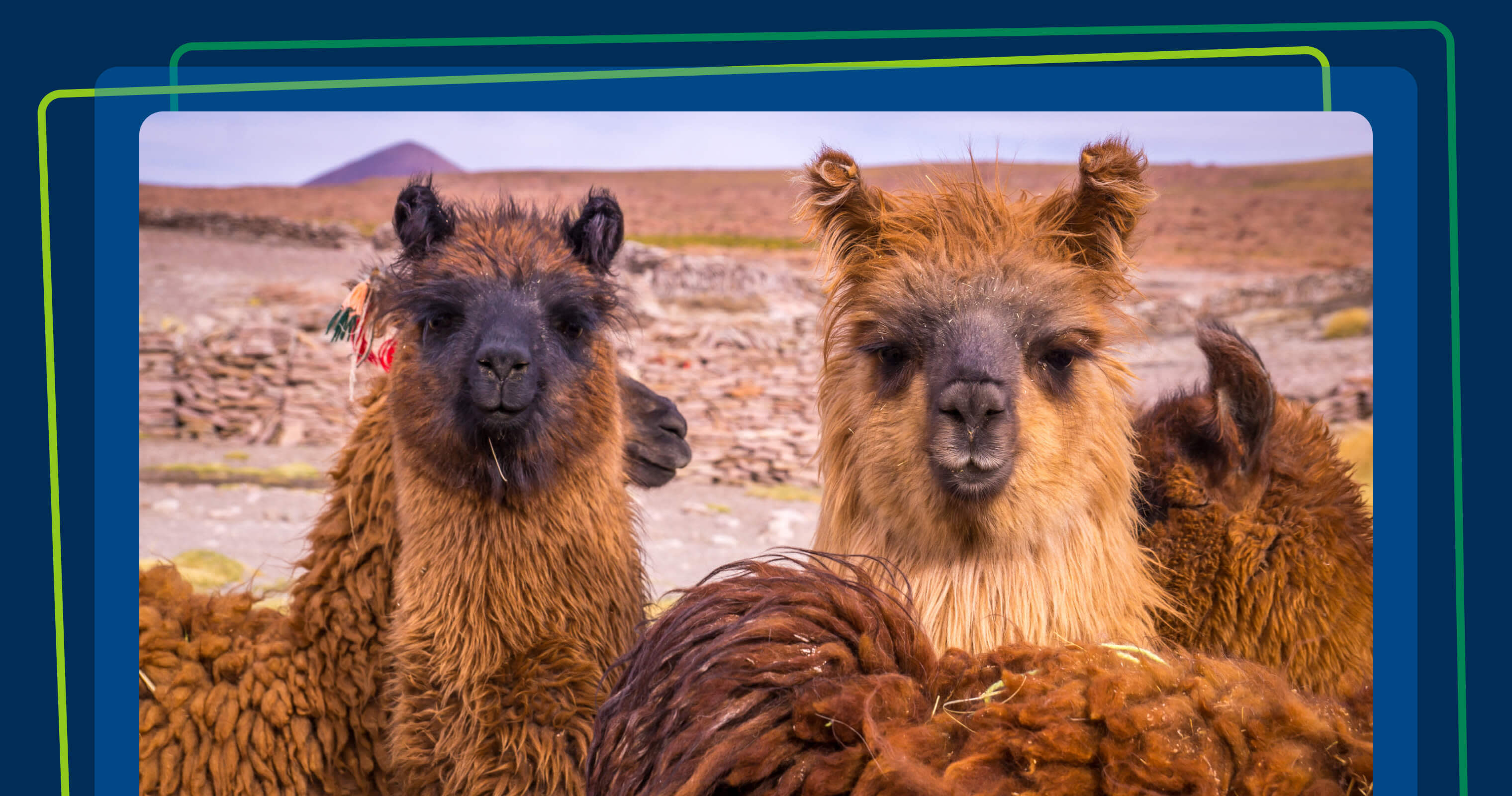 AI Overview - Related content - image 4