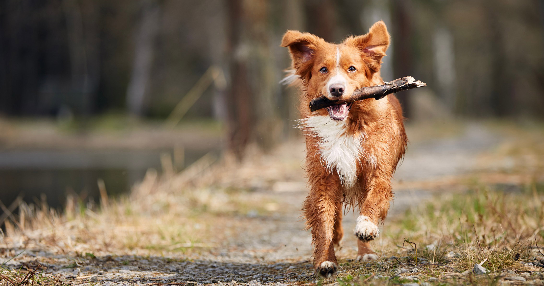 Use cases - related content - build - slot 2 image