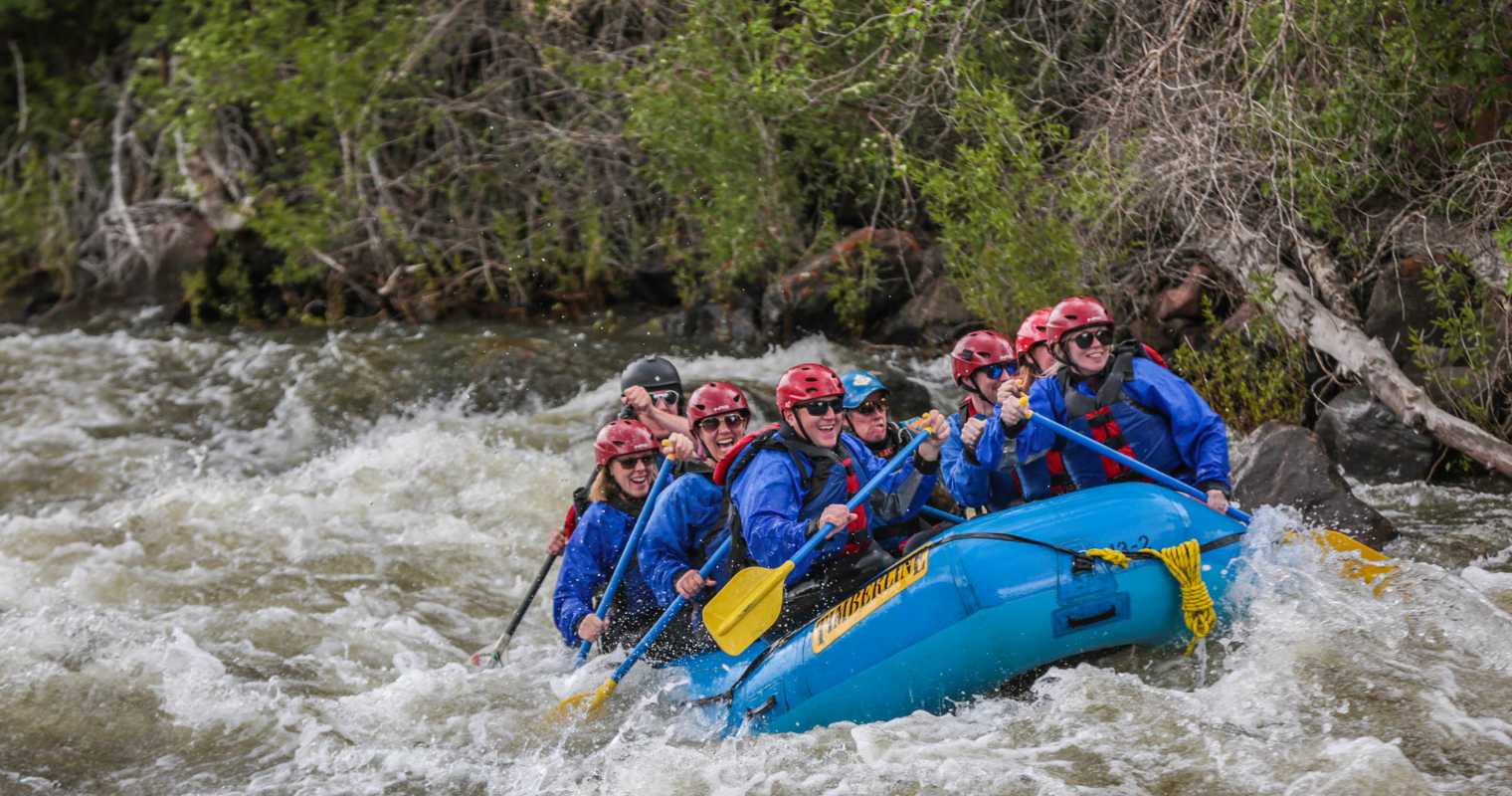 Does stakeholder alignment really matter? 