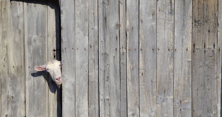 Related content - How Product Managers Defeat Feature Creep