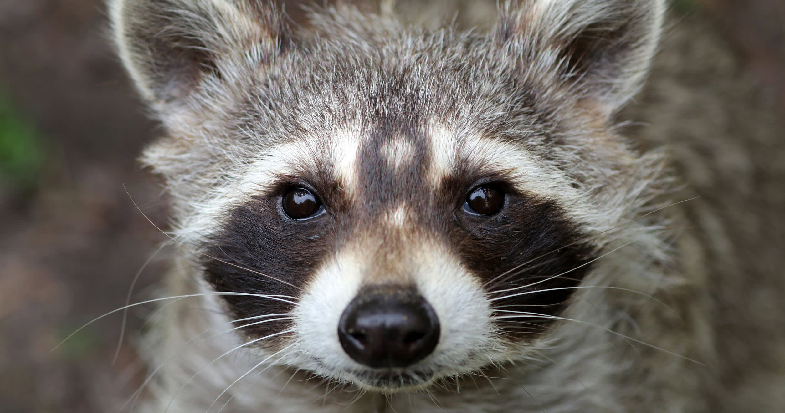 Ideas Overview - Featured articles - Slot 3