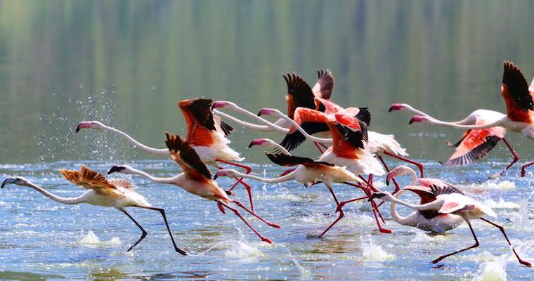 integrated-marketing-roadmap