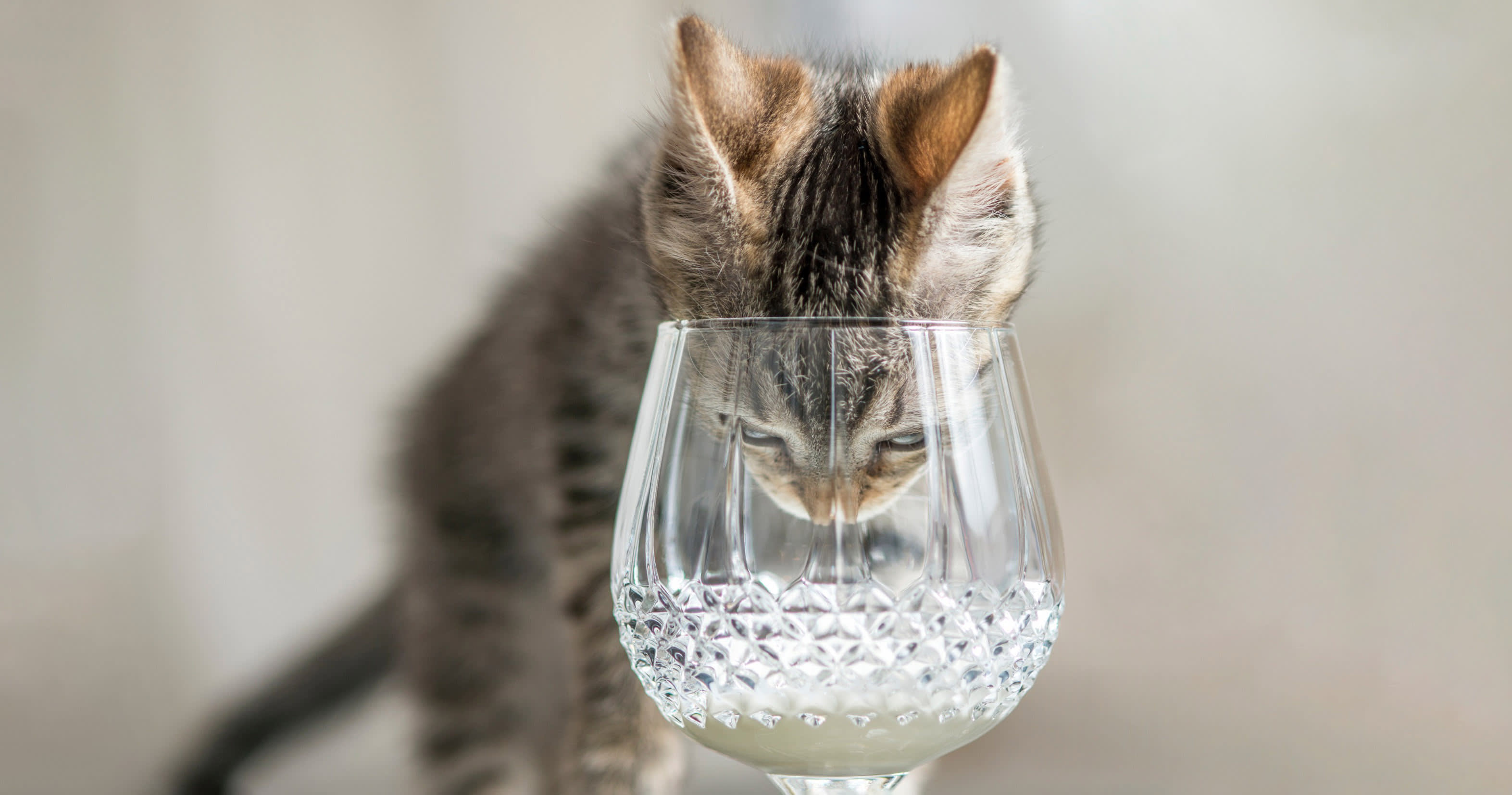 Maybe You Should Rethink That "Game-Changing" New AI Feature