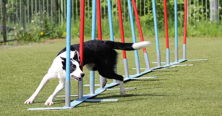 Ideas Overview - Featured articles - Slot 6