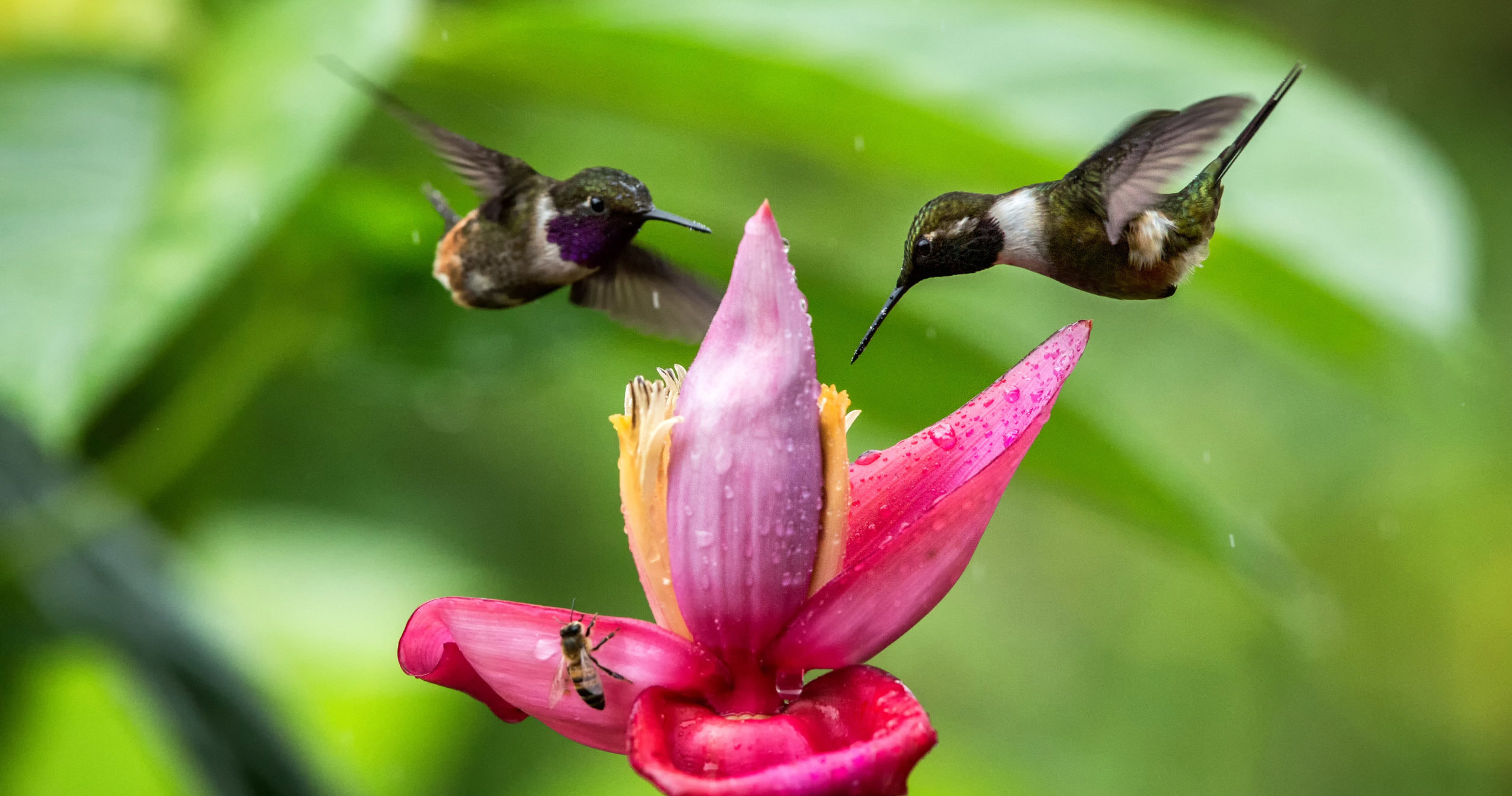 Are Product Managers Ready for Value-Based Product Development?