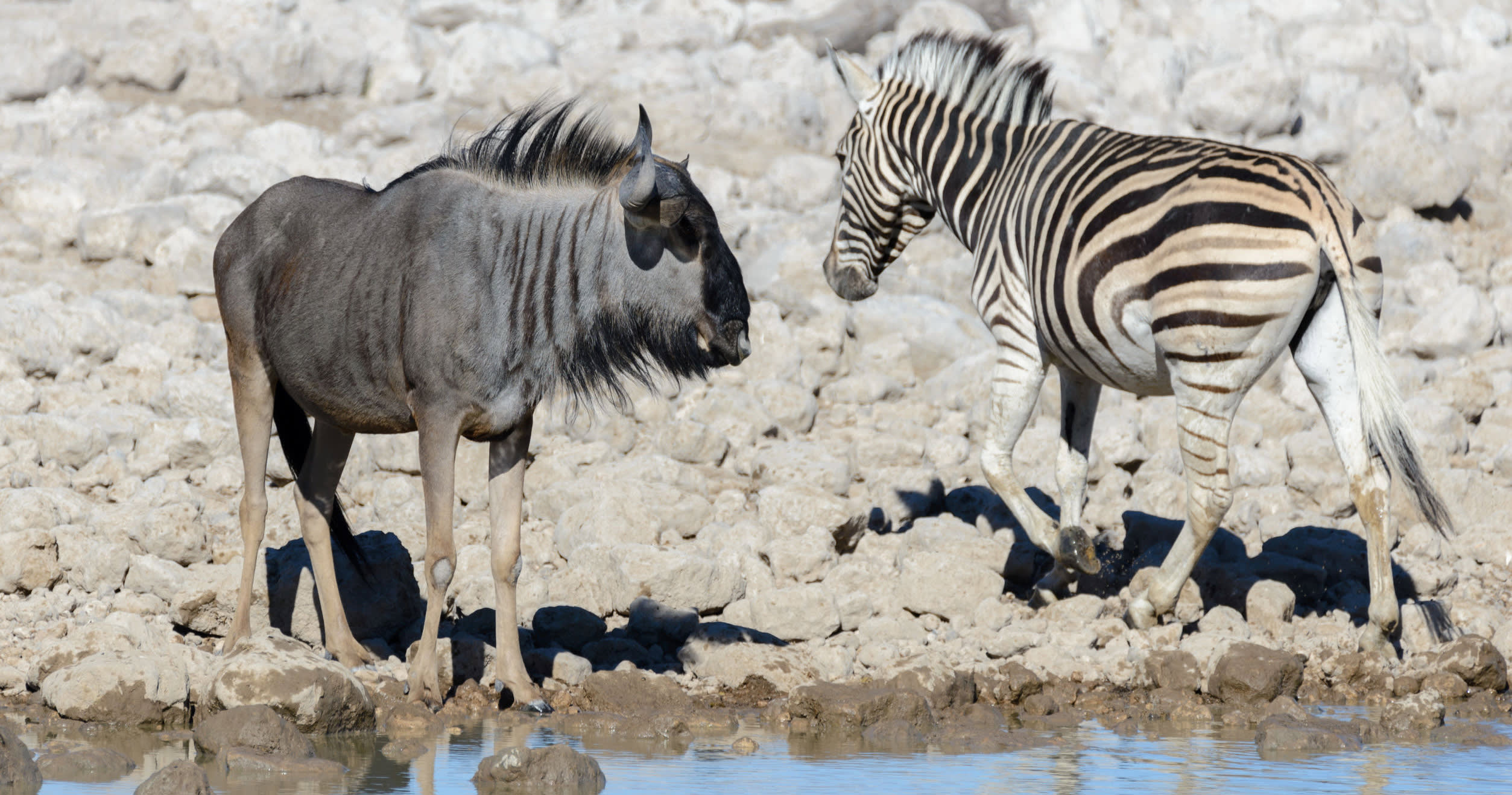 Teams - Related content image - product manager vs IT