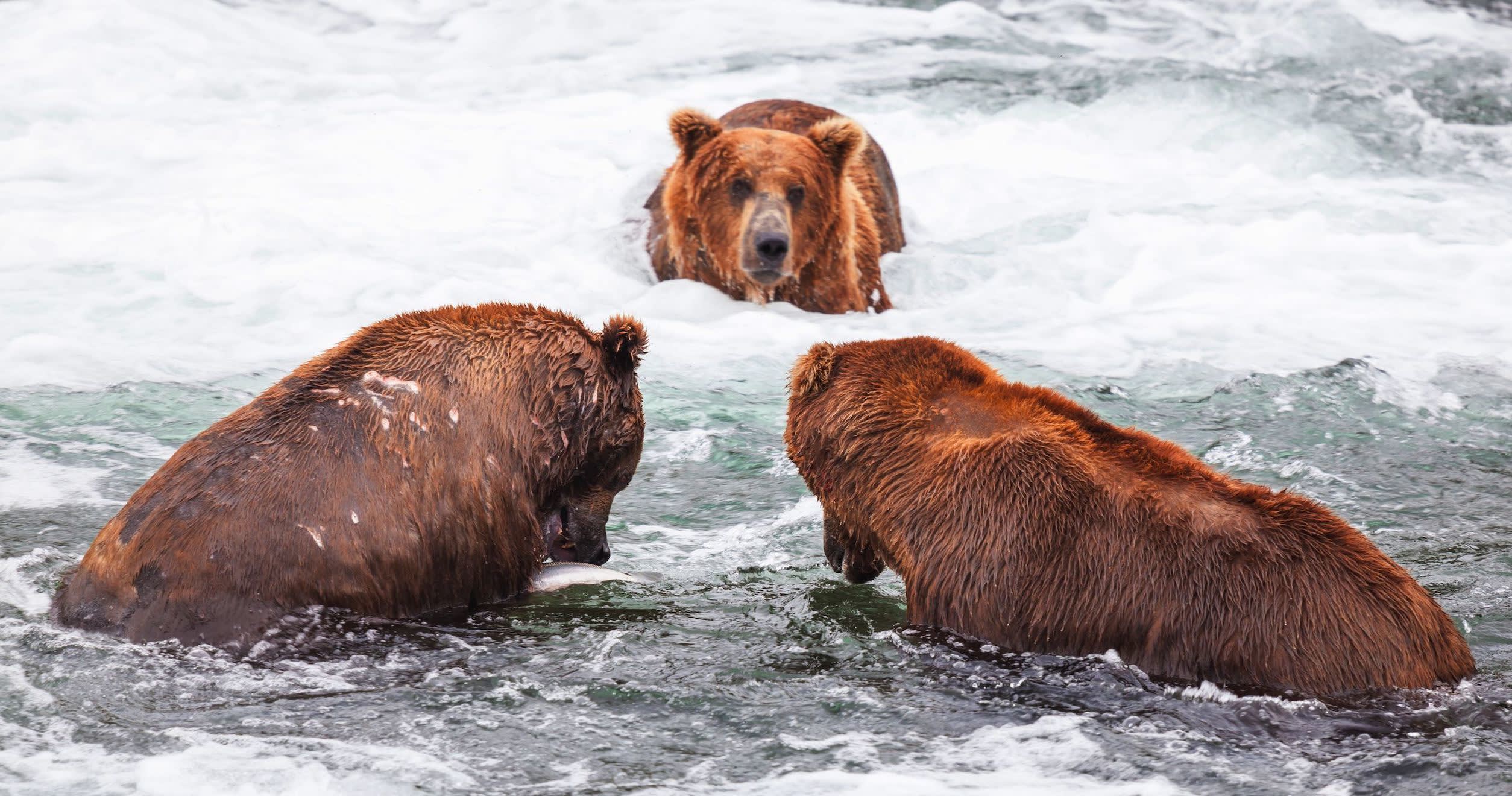 Related content image - Vision vs. mission vs. strategy