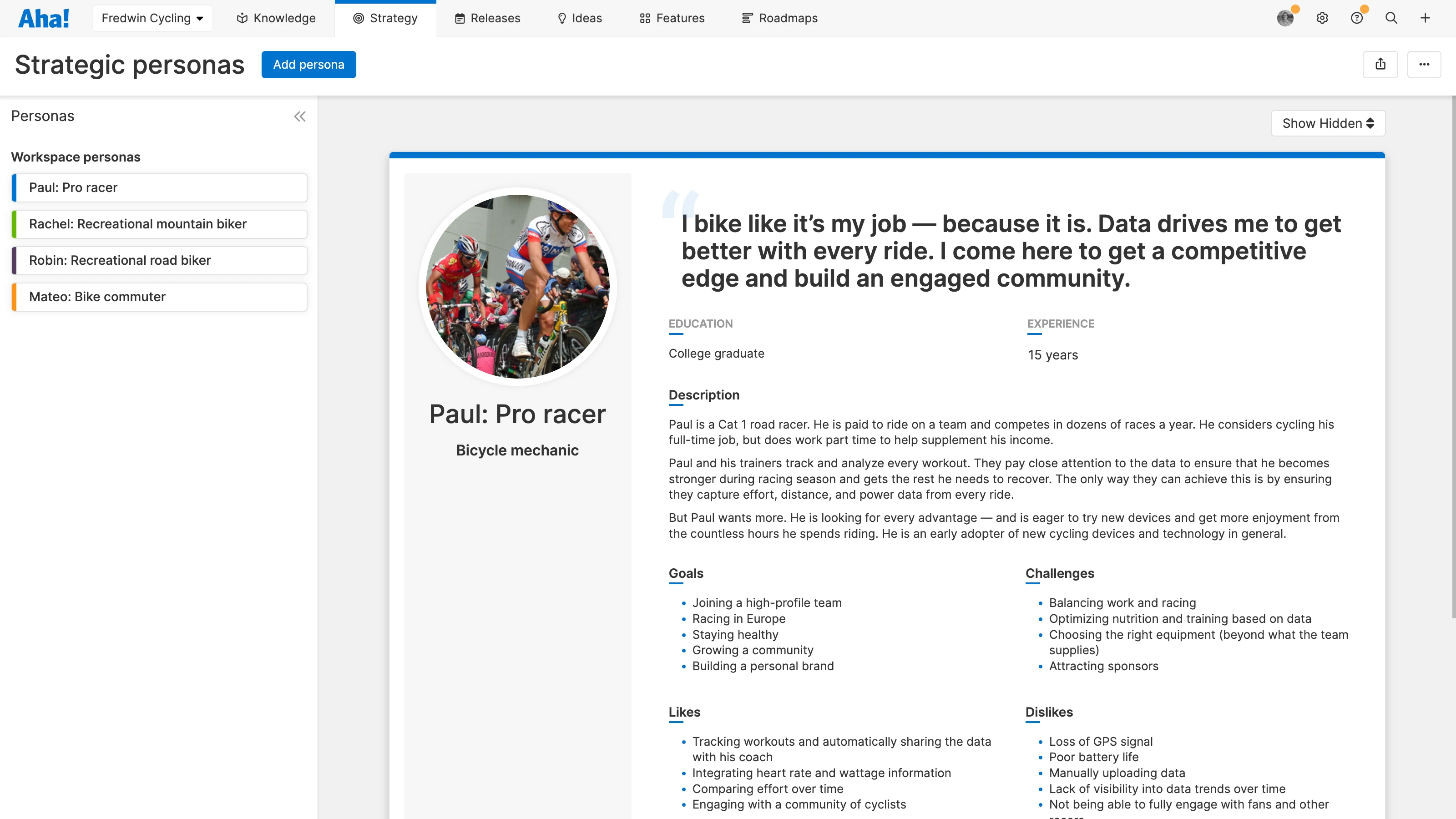 A strategic persona example in Aha! Roadmaps