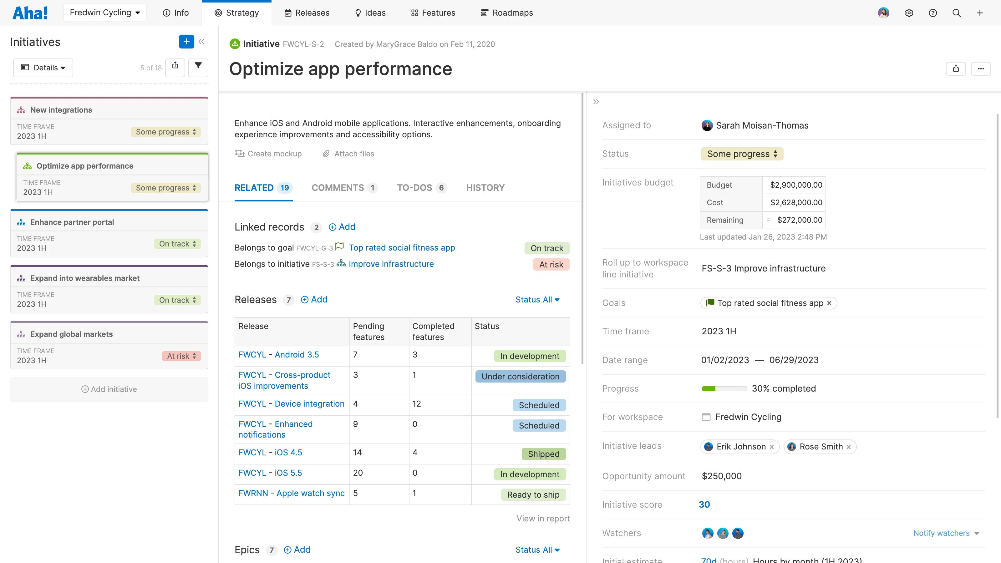 Initiative details with custom worksheet 