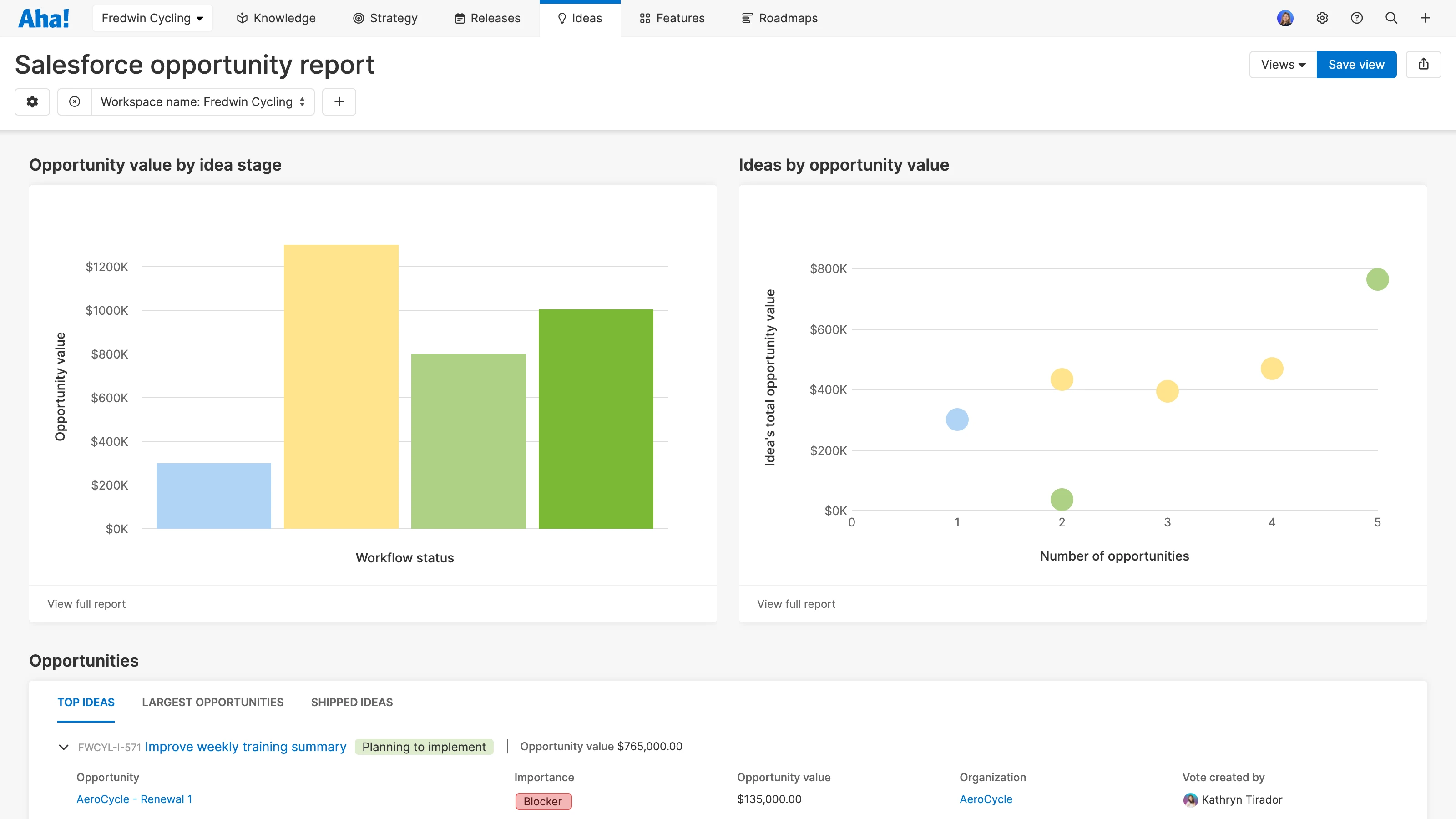 Salesforce opportunity report
